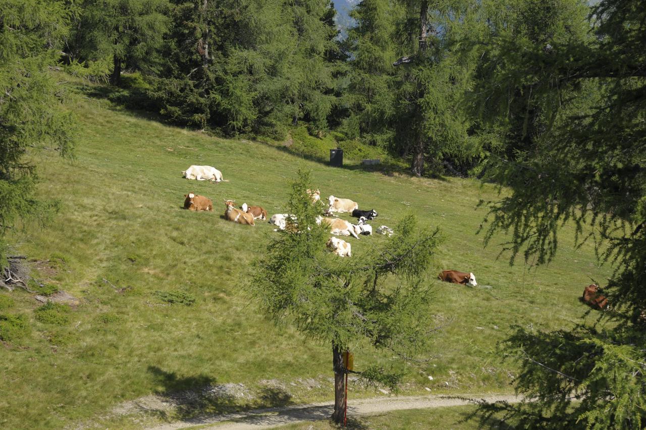 Chaletdorf-Fanningberg Weisspriach Kültér fotó