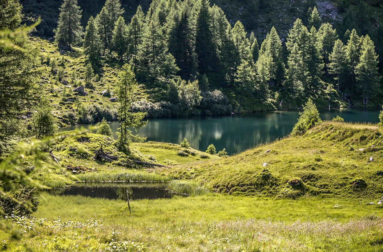 Chaletdorf-Fanningberg Weisspriach Kültér fotó