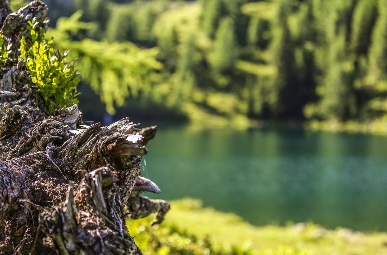 Chaletdorf-Fanningberg Weisspriach Kültér fotó
